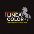 Logo Lakiernia Proszkowa pieszyce